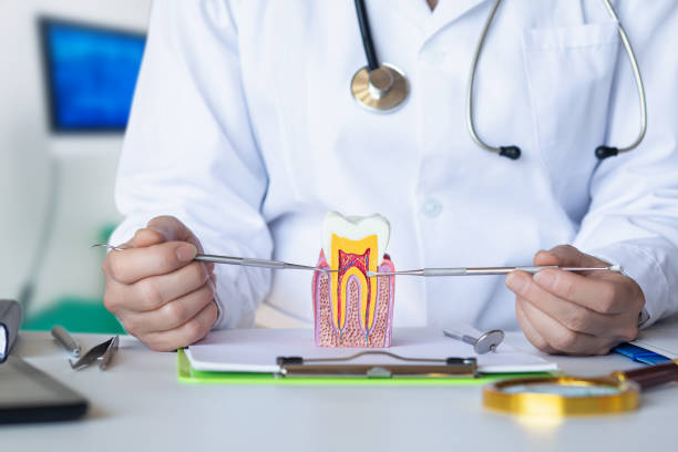 Best Emergency Treatment for Oral Infections in South Venice, FL